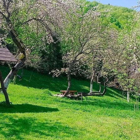 Villa Під Горою Scheschory Exterior foto