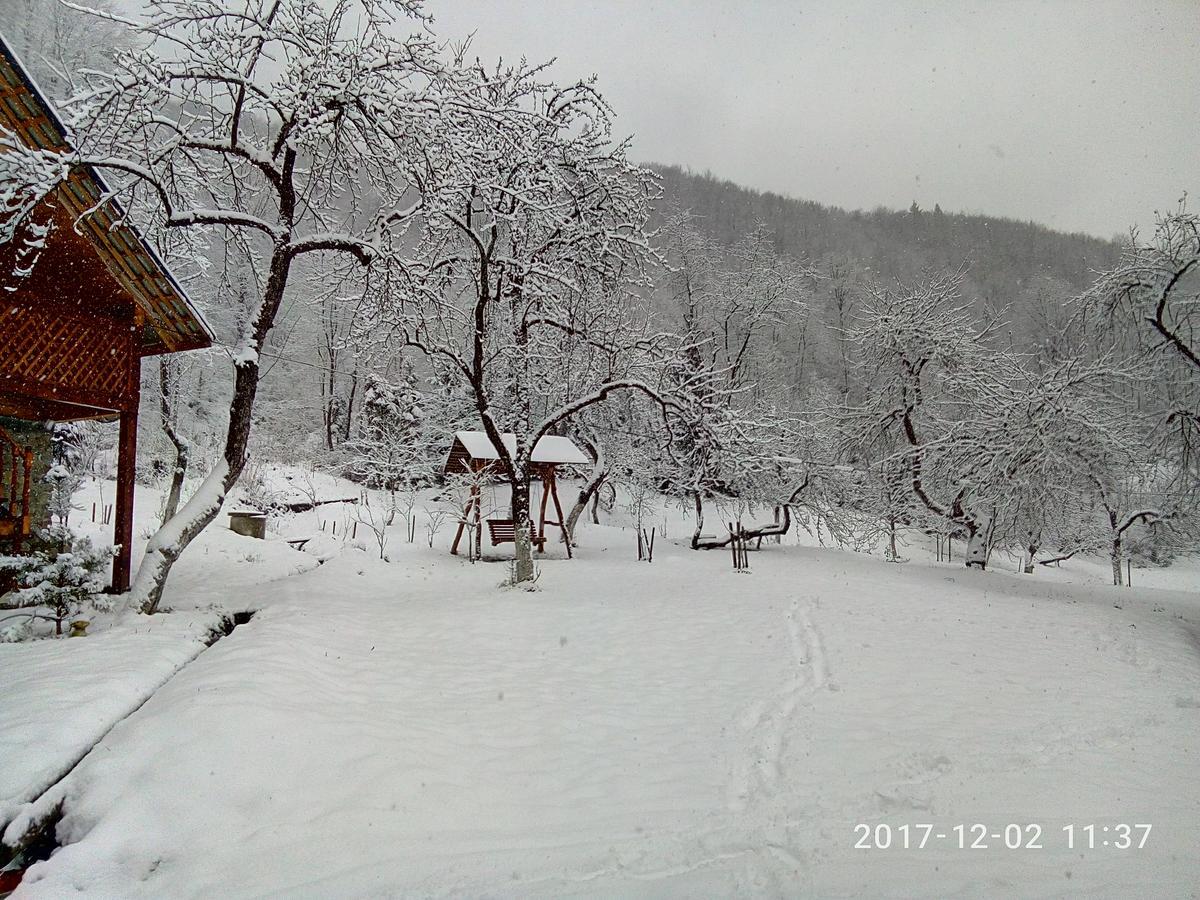 Villa Під Горою Scheschory Exterior foto